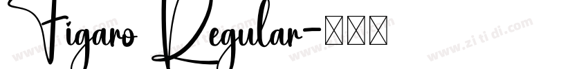 Figaro Regular字体转换